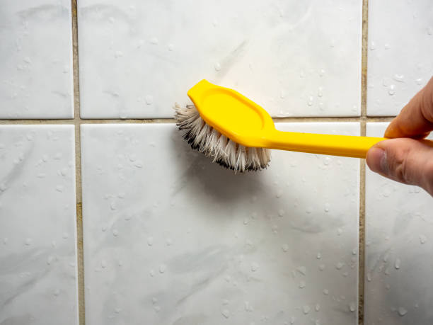 Best Fast Mold Removal  in East Cleveland, TN