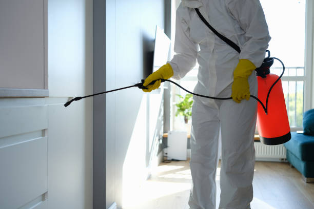 Best Certified Mold Removal  in East Cleveland, TN